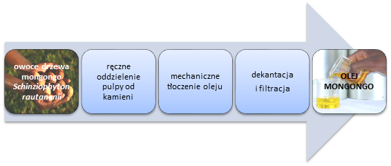 Rysunek 1. Schemat ekstrakcji Oleju Mongongo