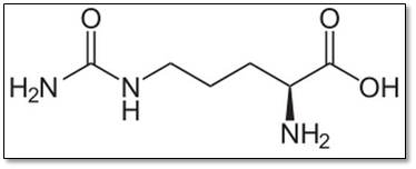 Rysunek 6. Wzór strukturalny cytruliny