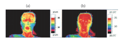 Porównanie obrazów z kamery termograficznej